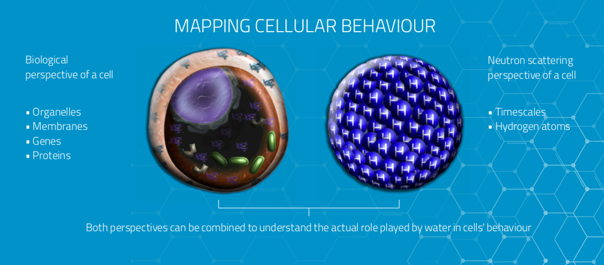 MIRACLES mapping cellular beahviour